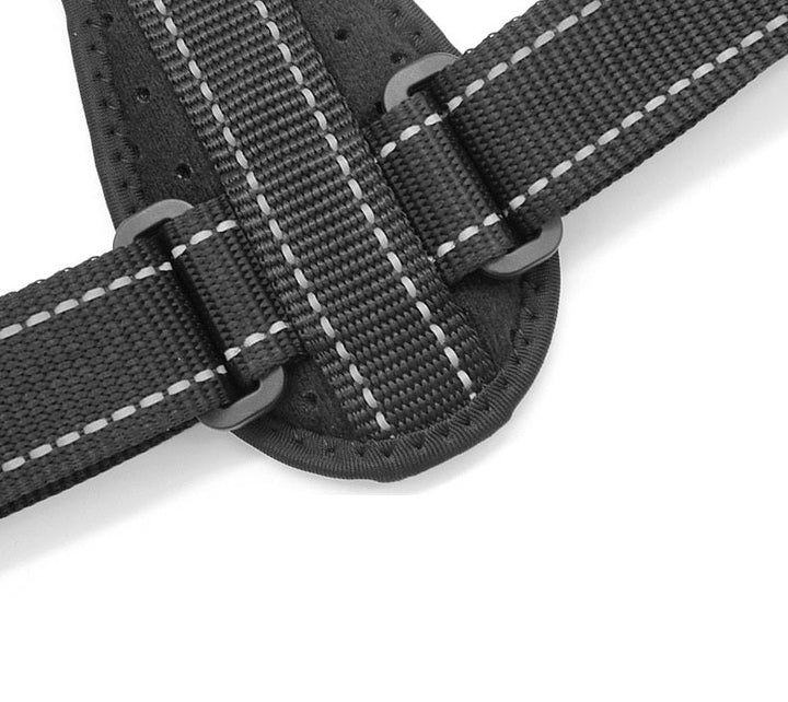 Transform Your Posture with the Posture Correction Back Sitting Belt